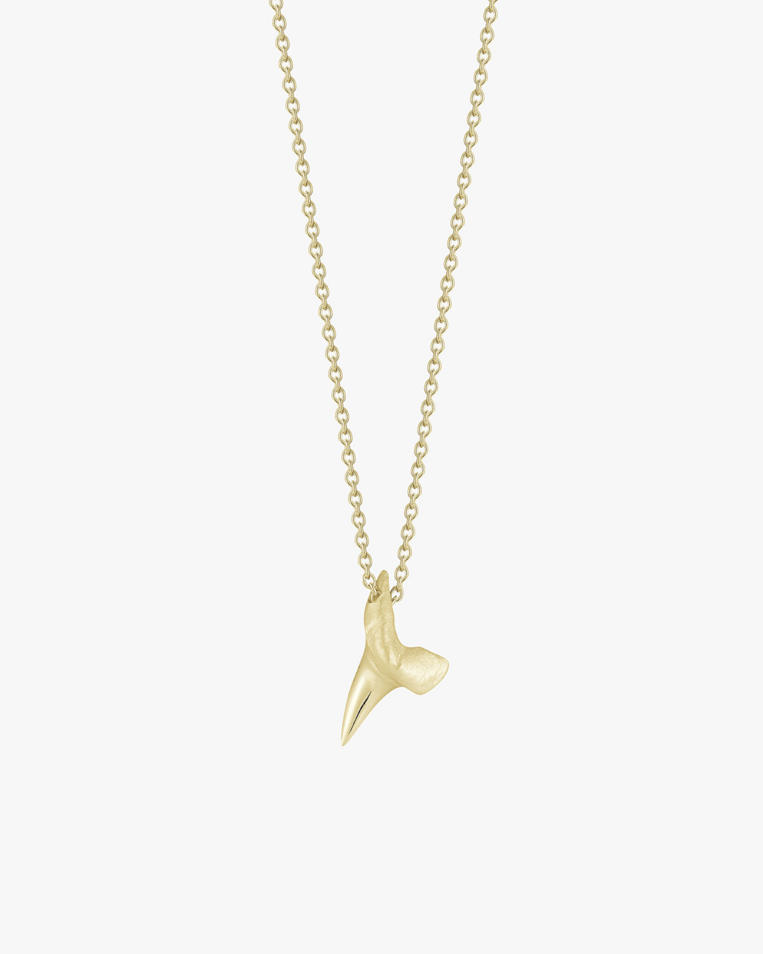 a small gold shark tooth necklace shown on a cable chain on a white background. Made by love billy.