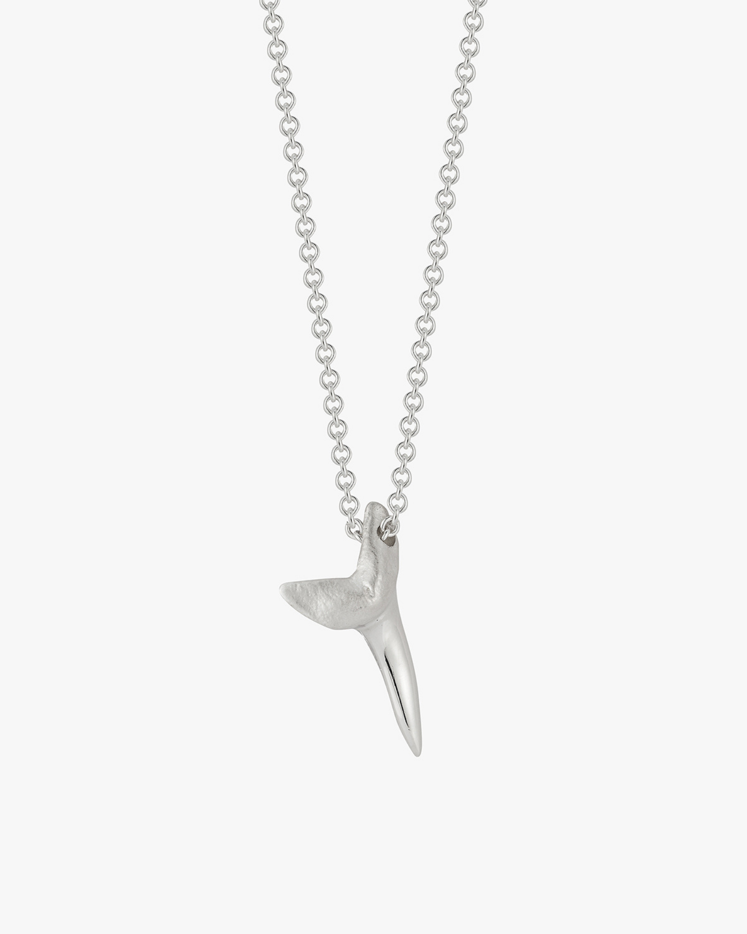 a close up of the silver shark tooth necklace on a cable chain. Made by love Billy.