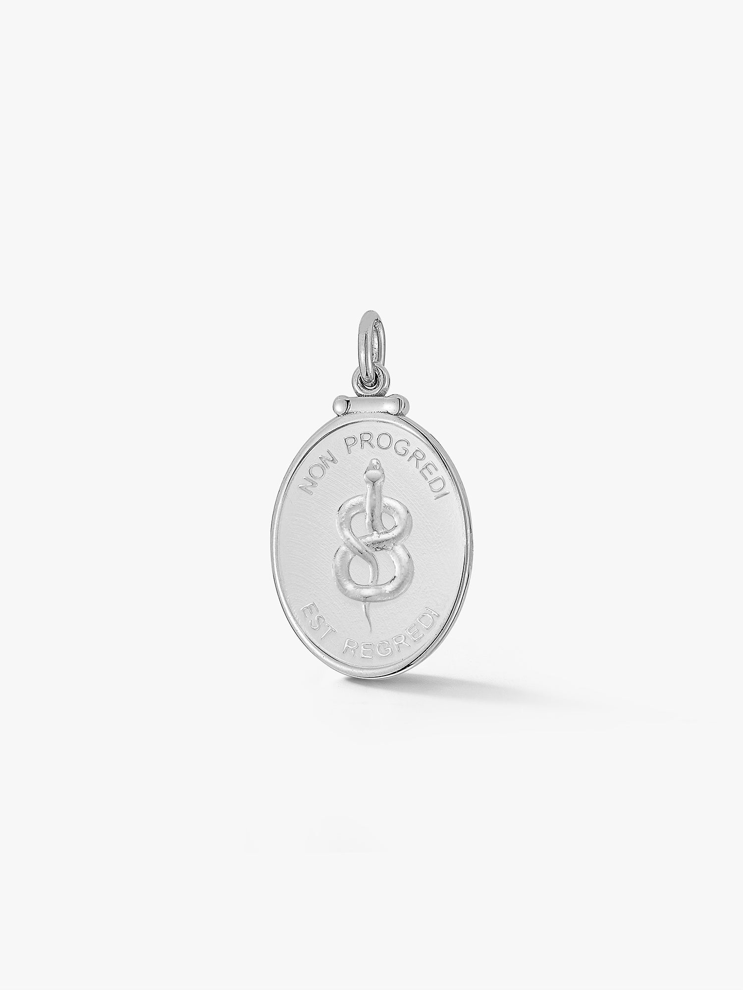 Silver Snake Medallion