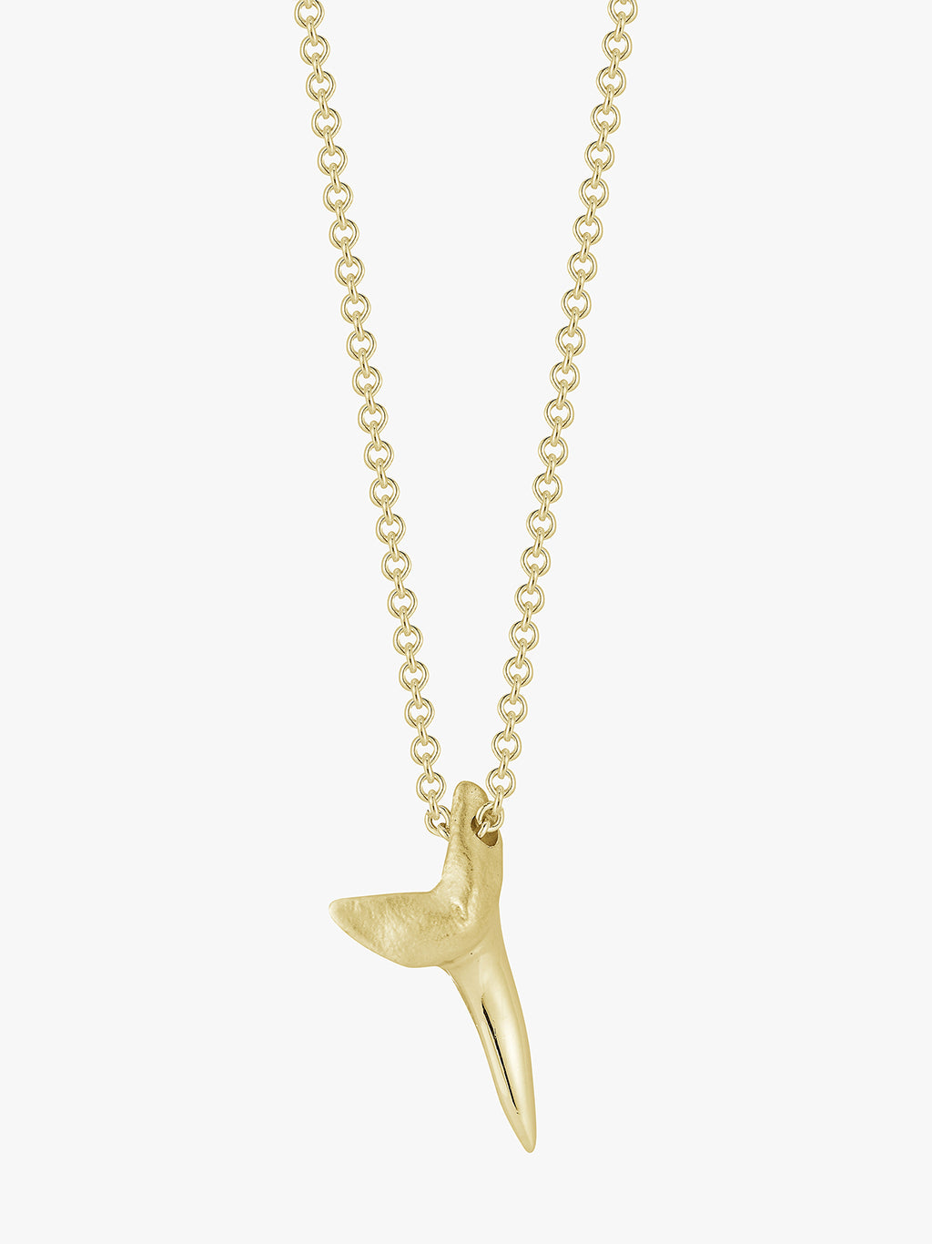 close up of gold shark tooth necklace on a cable chain. Made by Love Billy in NYC.