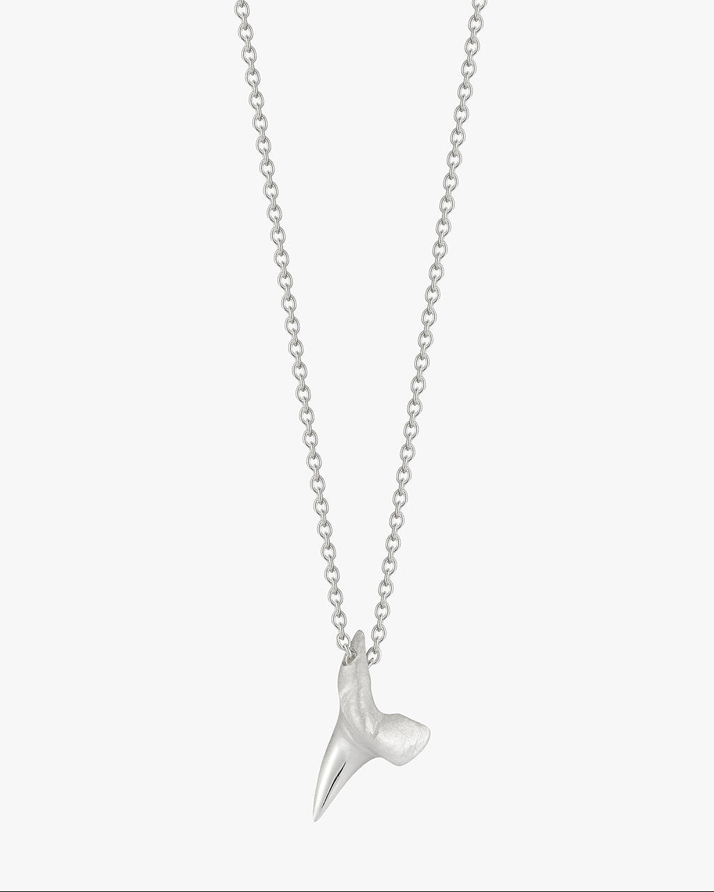 silver shark tooth necklace by love billy on a cable chain.
