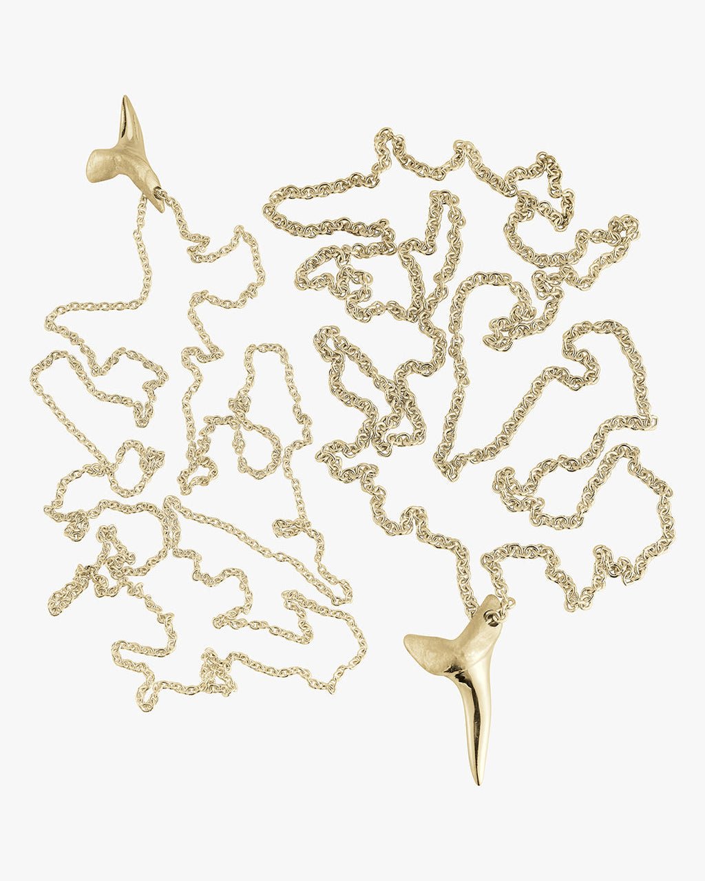 Gold Shark Tooth - Billy
