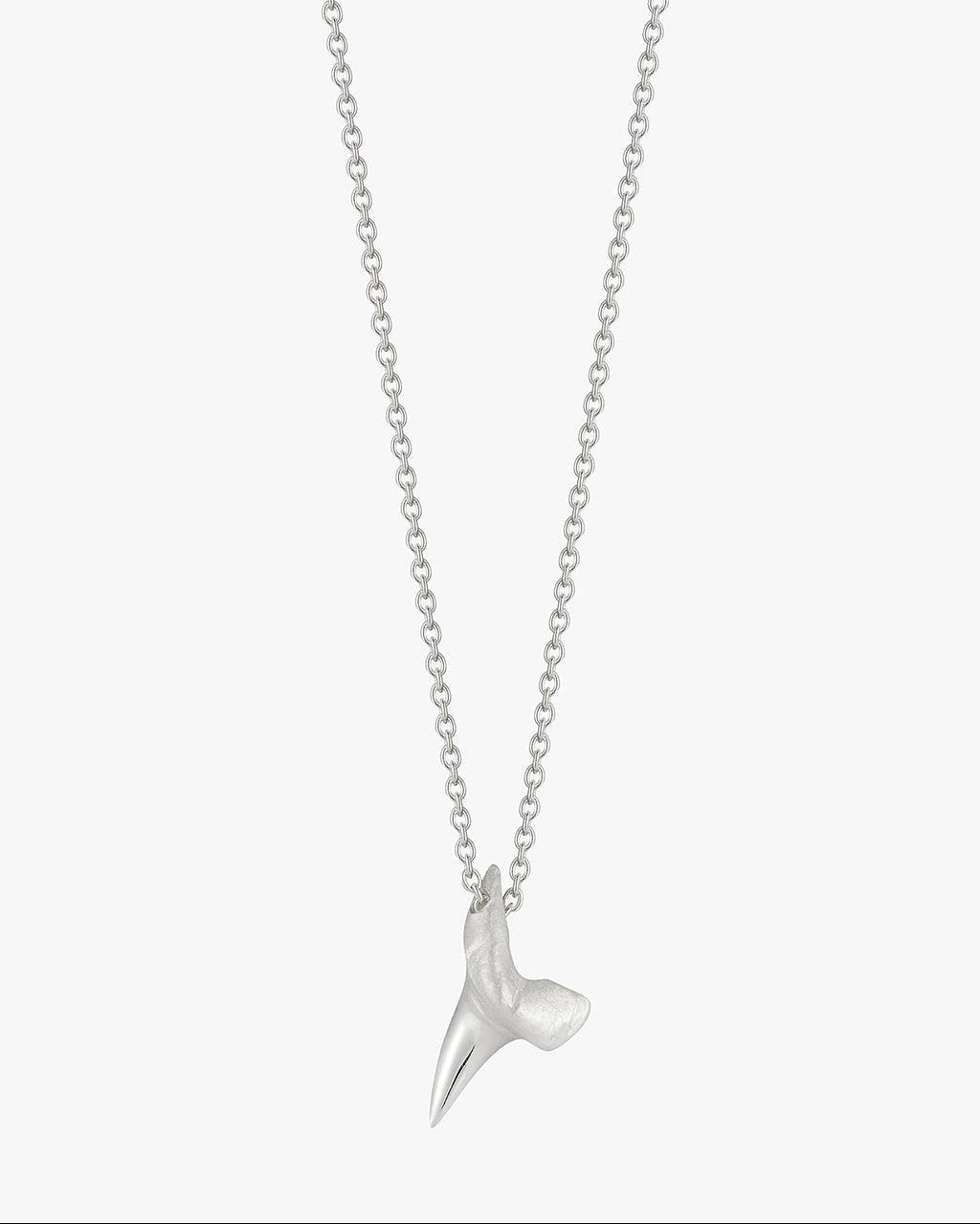 Small Shark Tooth - Billy