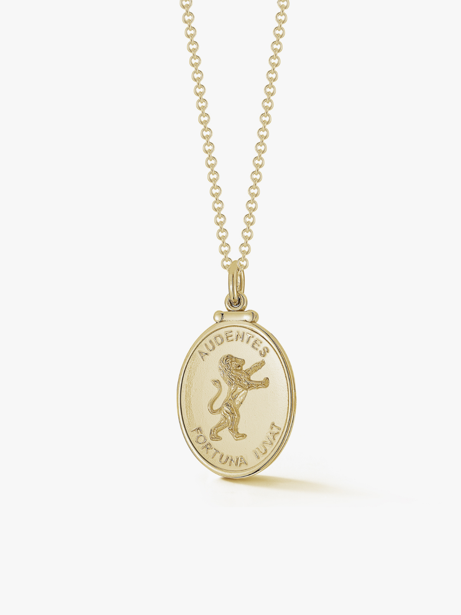 Lion Medallion in Gold