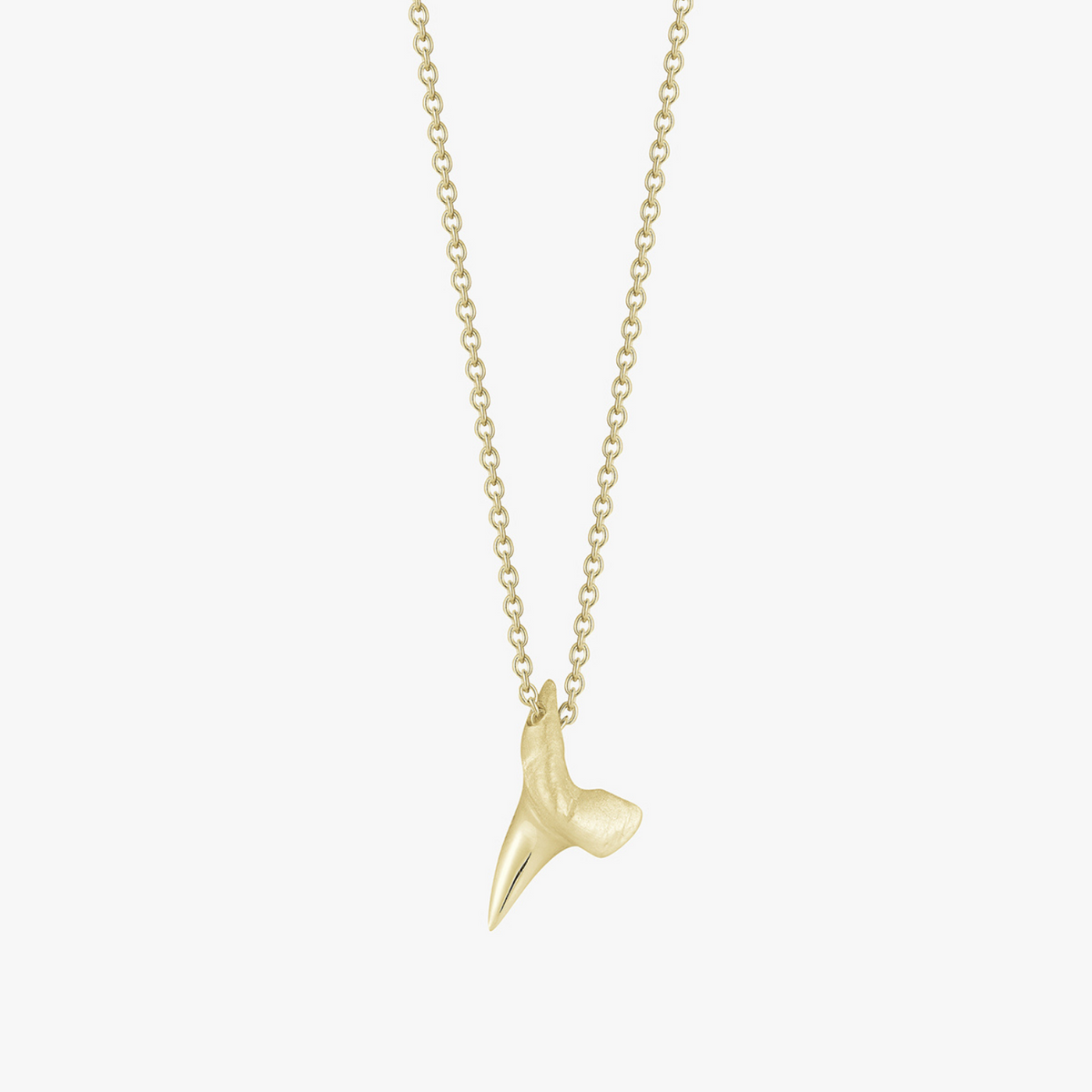 Small Gold Shark Tooth | love billy