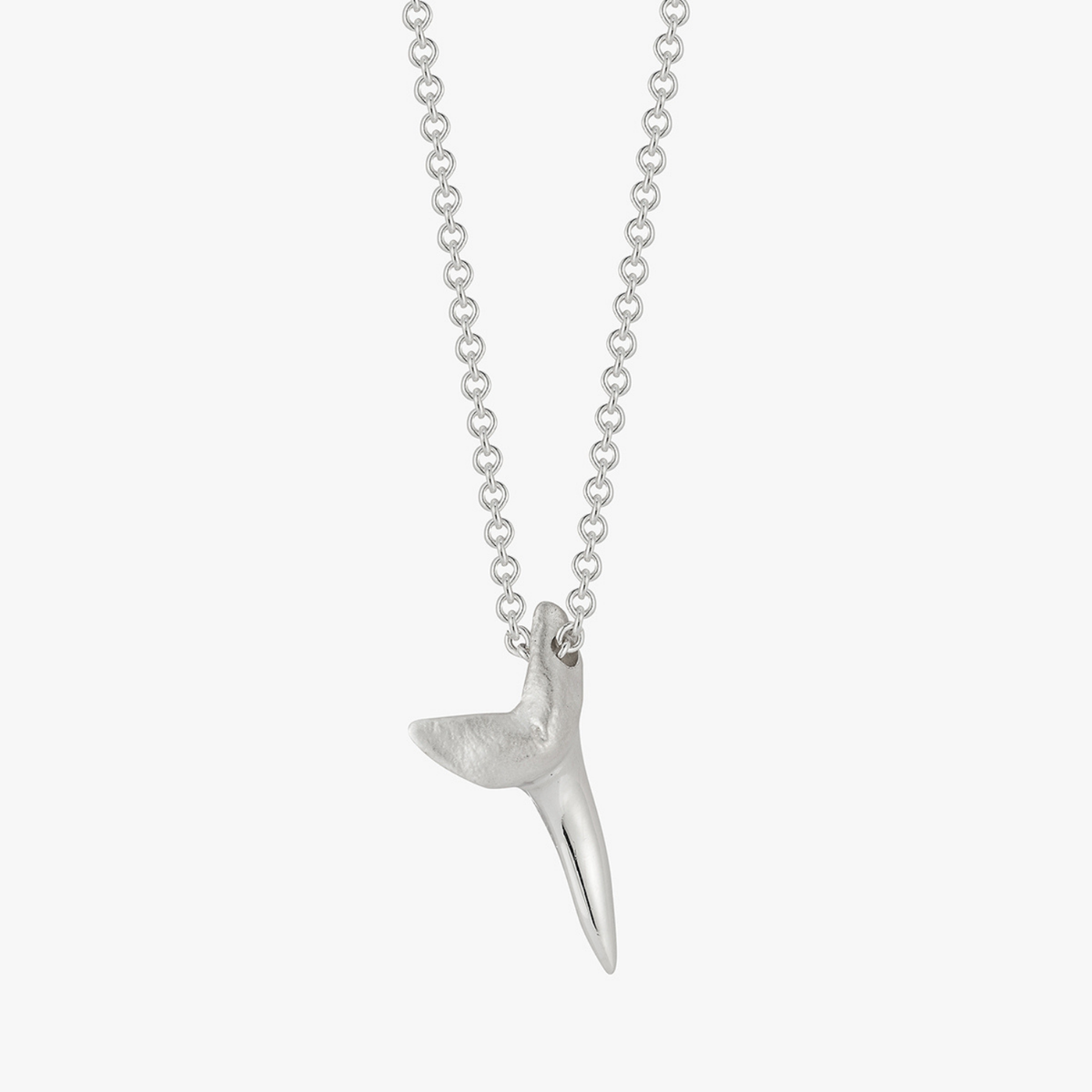 Silver Shark Tooth | love billy