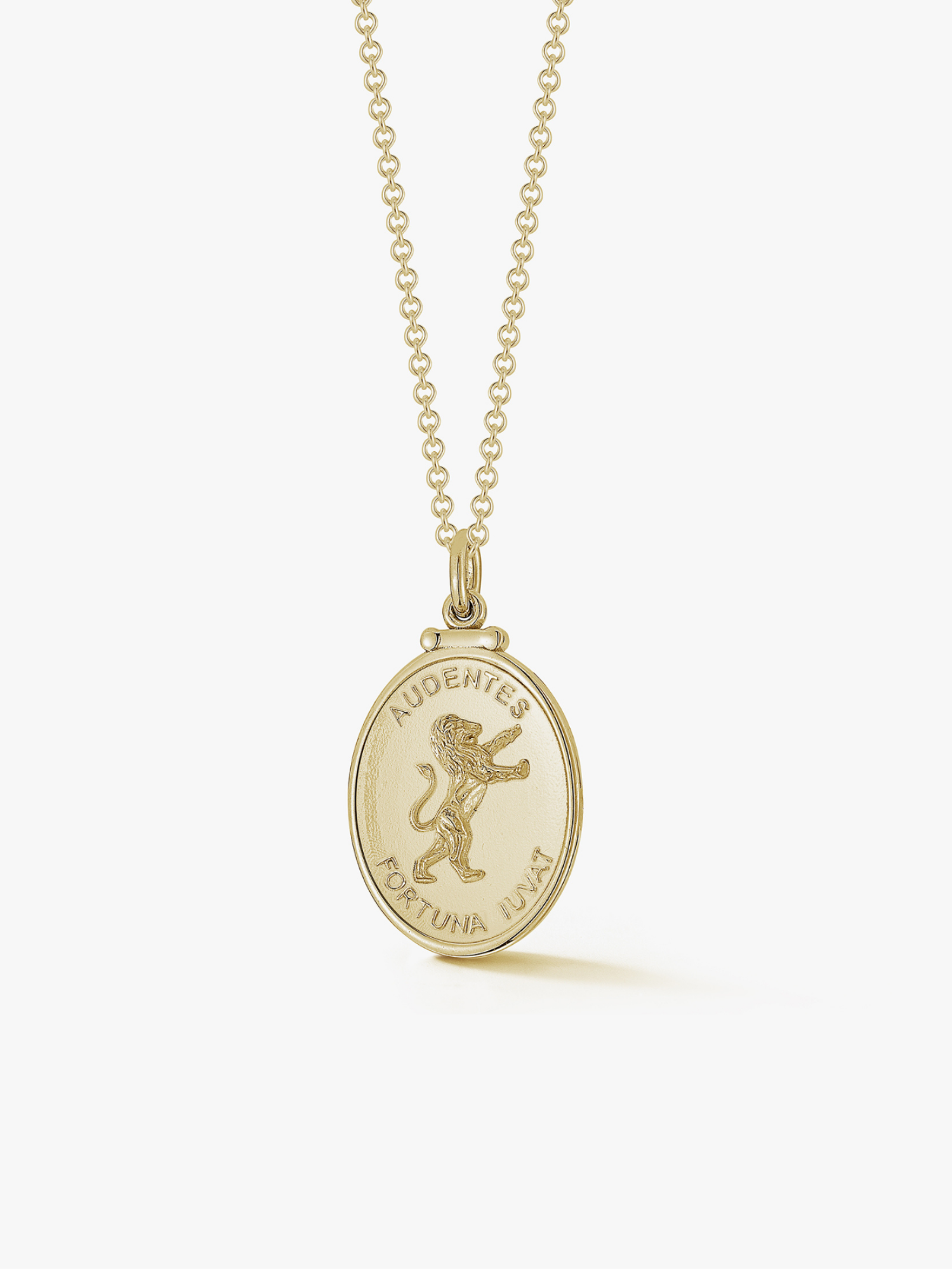 Lion Medallion in Gold