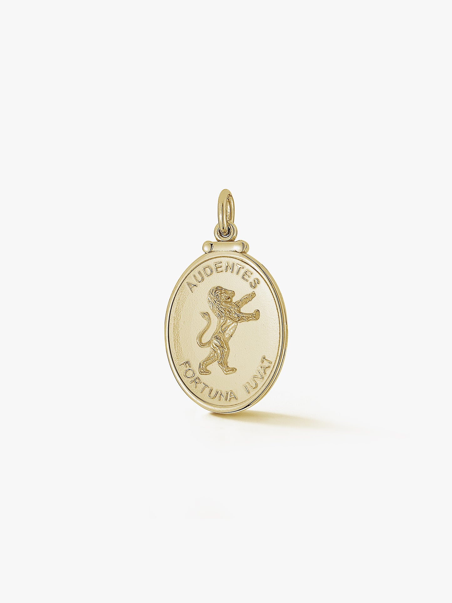 Gold Lion Medallion