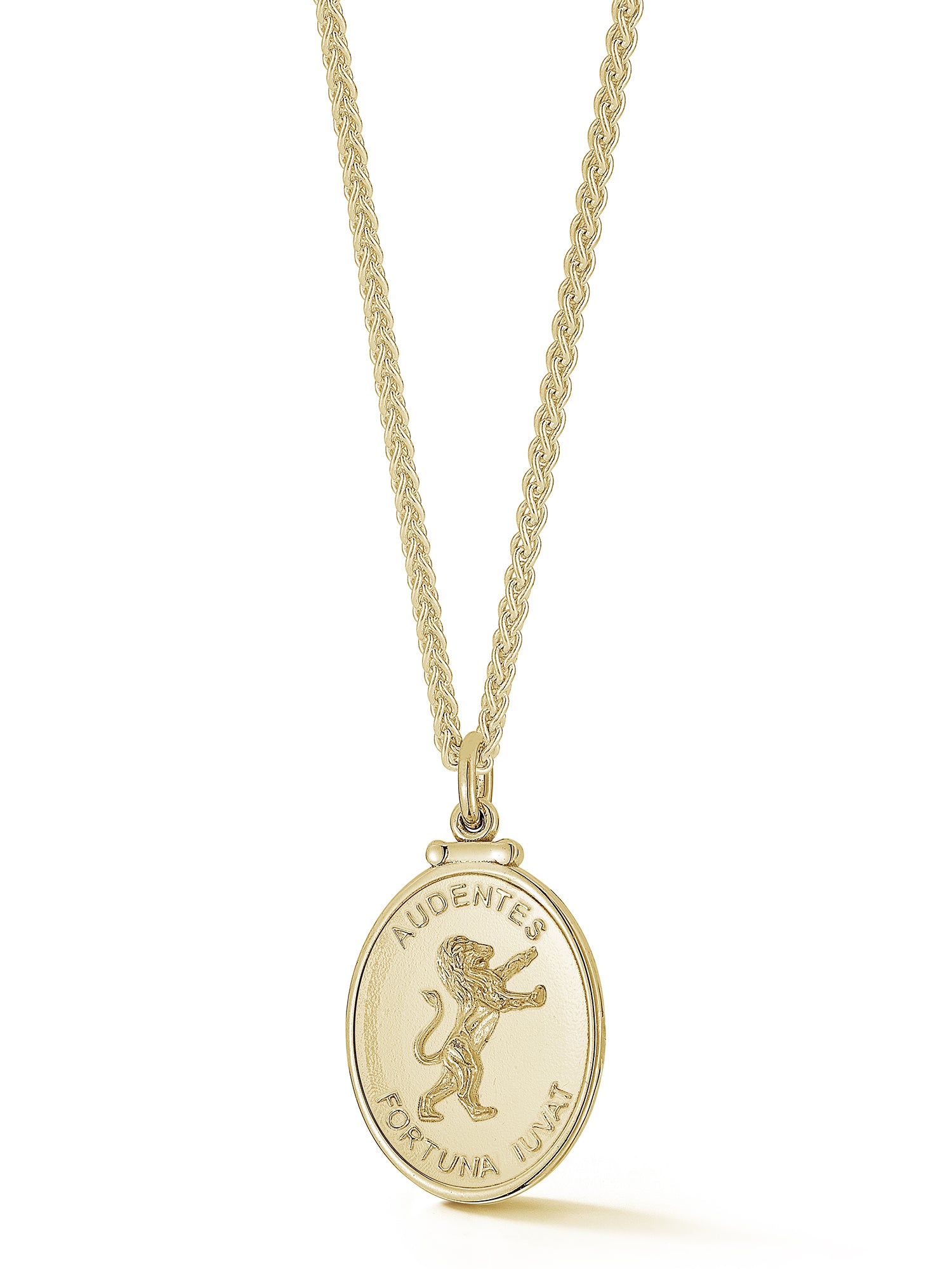 Lion Medallion