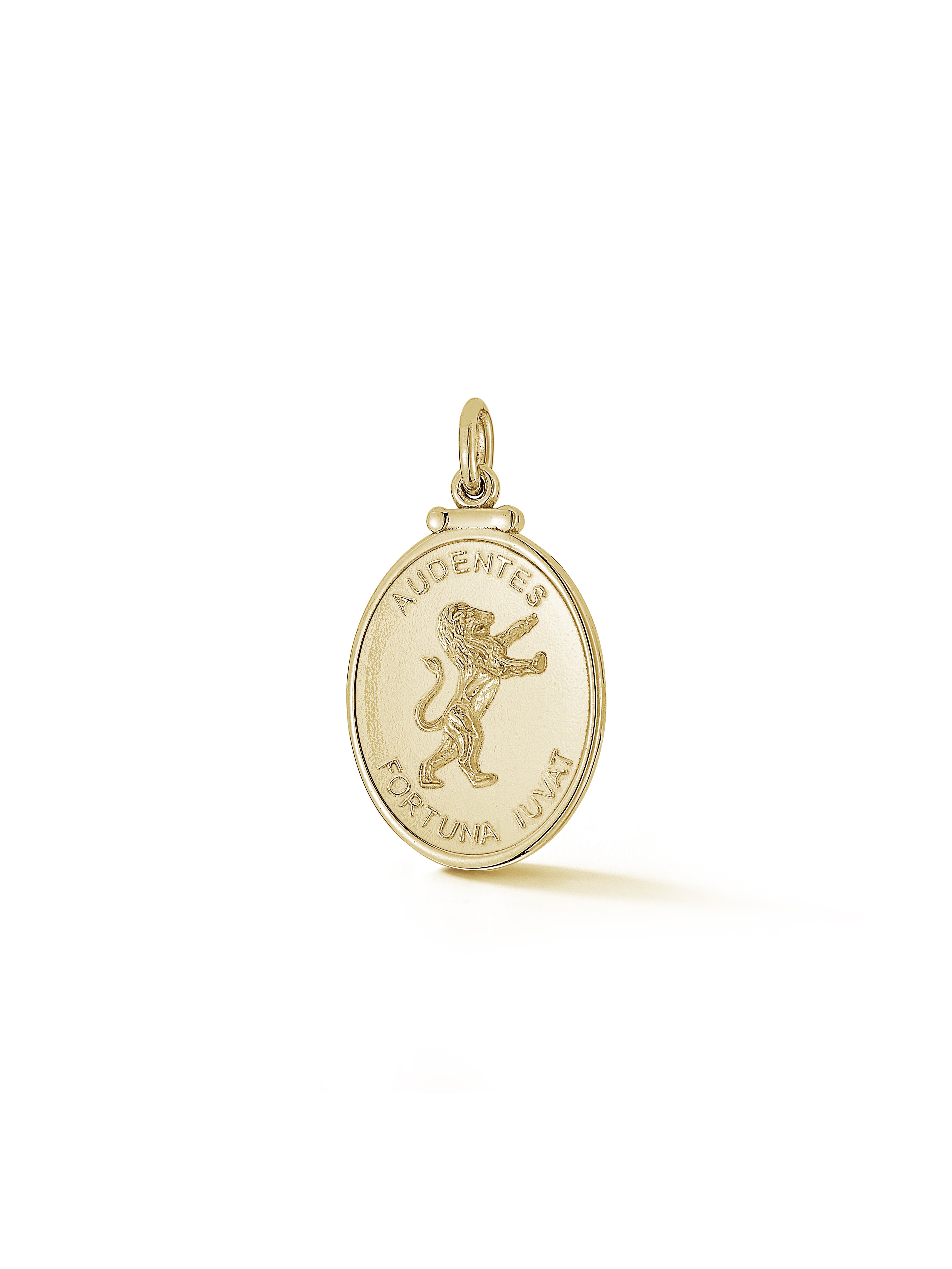 Lion Medallion in Gold