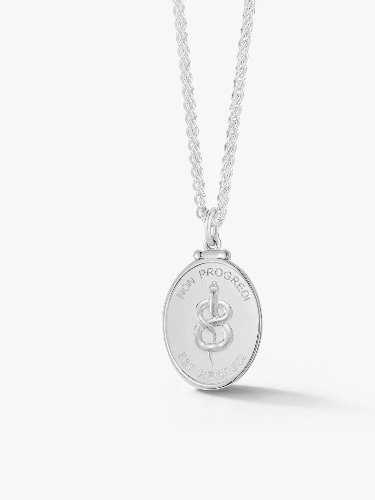 Silver Snake Medallion