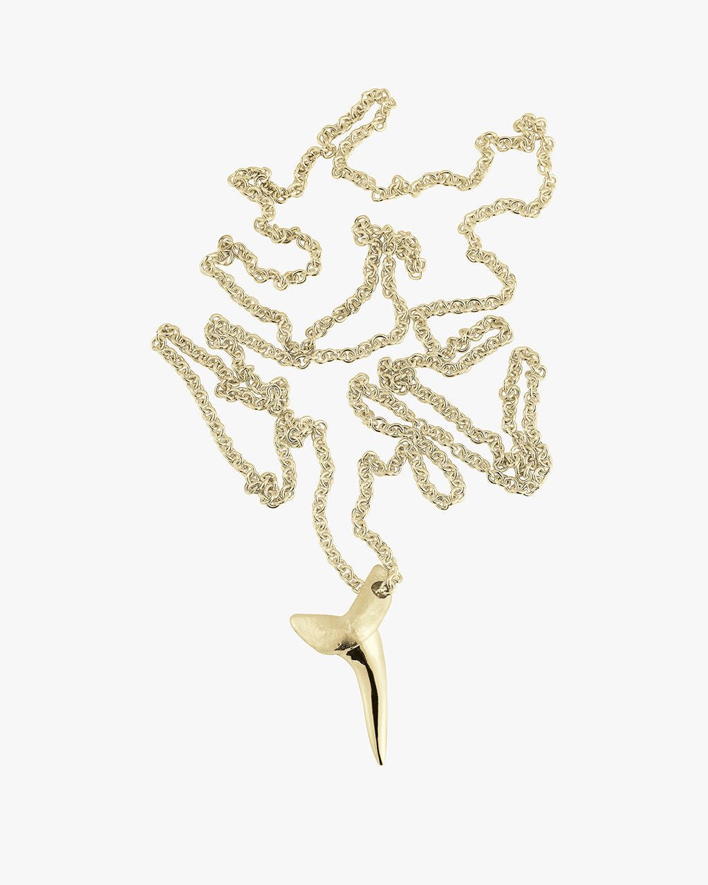 Gold Shark Tooth - Billy
