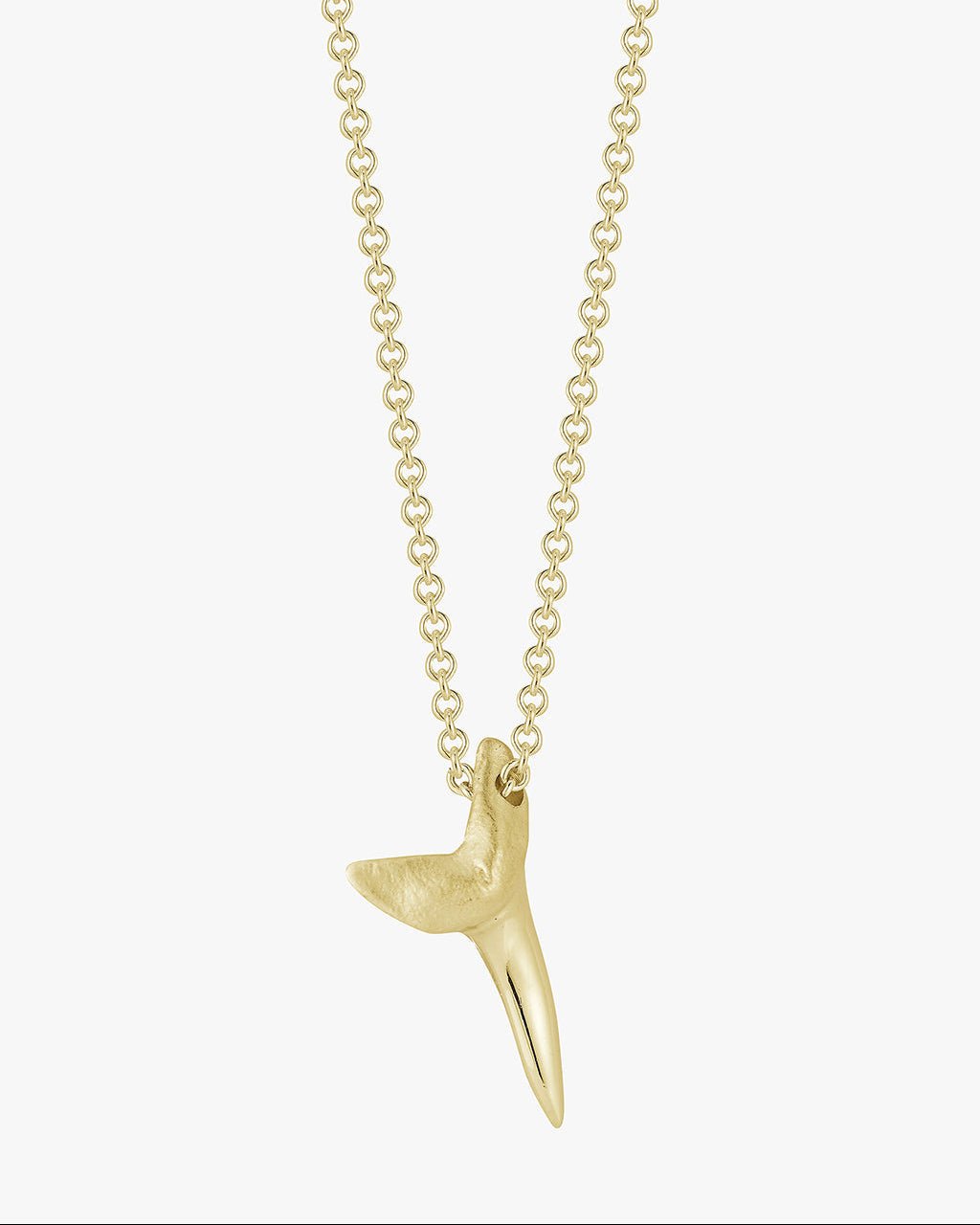 Gold Shark Tooth - Billy