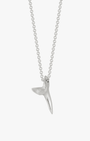 Shark Tooth - Billy