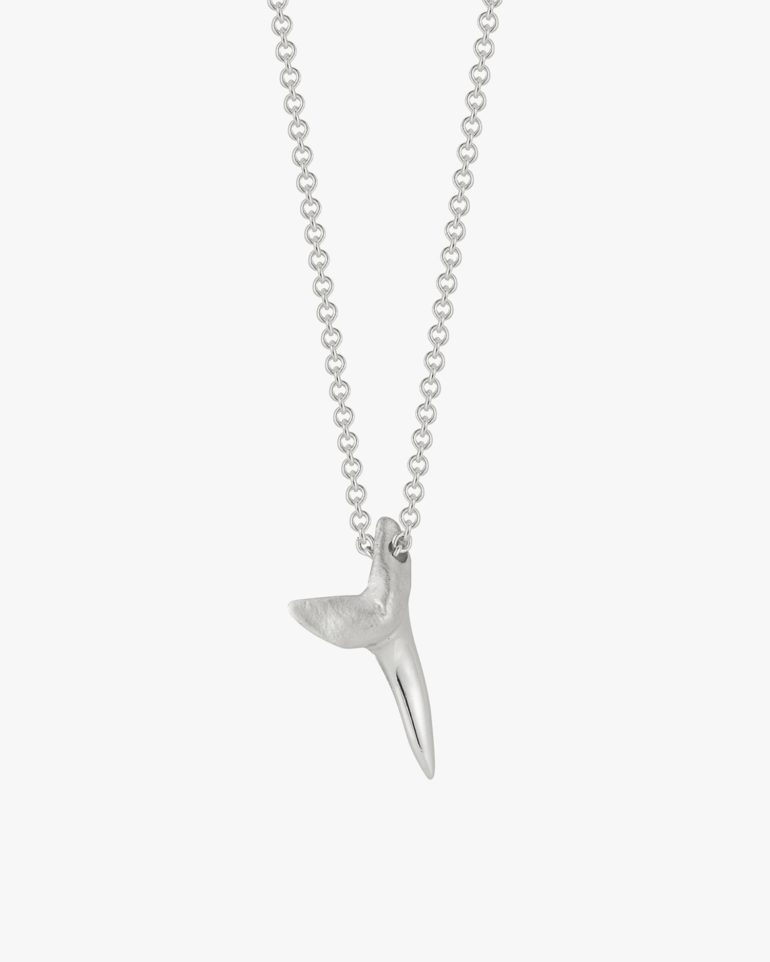 Shark Tooth - Billy