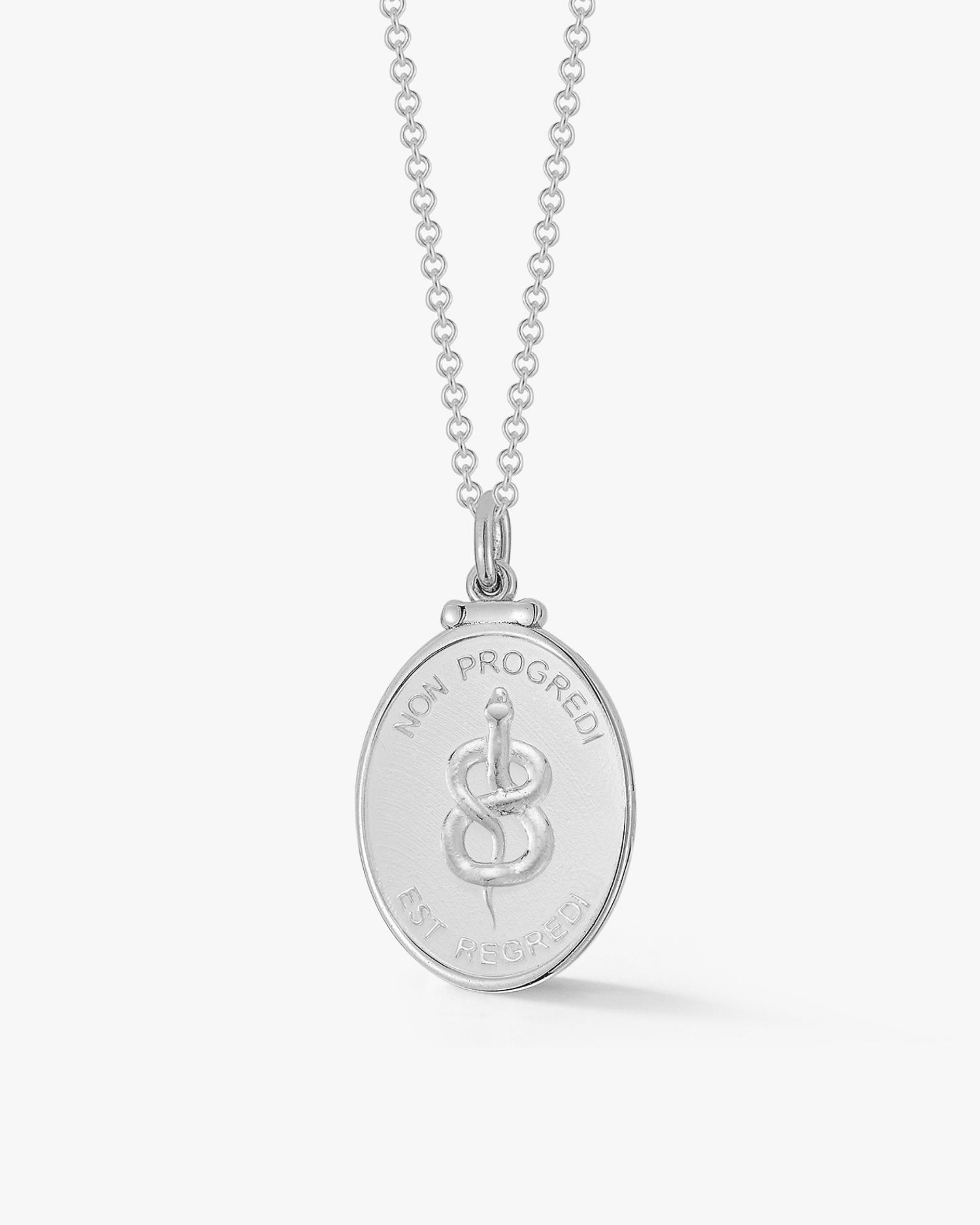 Silver Snake Medallion - Billy