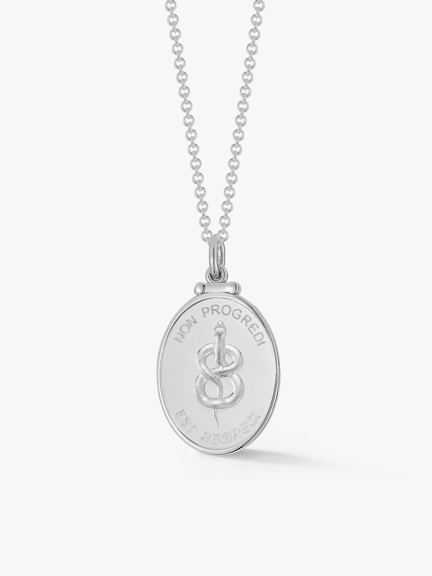 Silver Snake Medallion - Billy