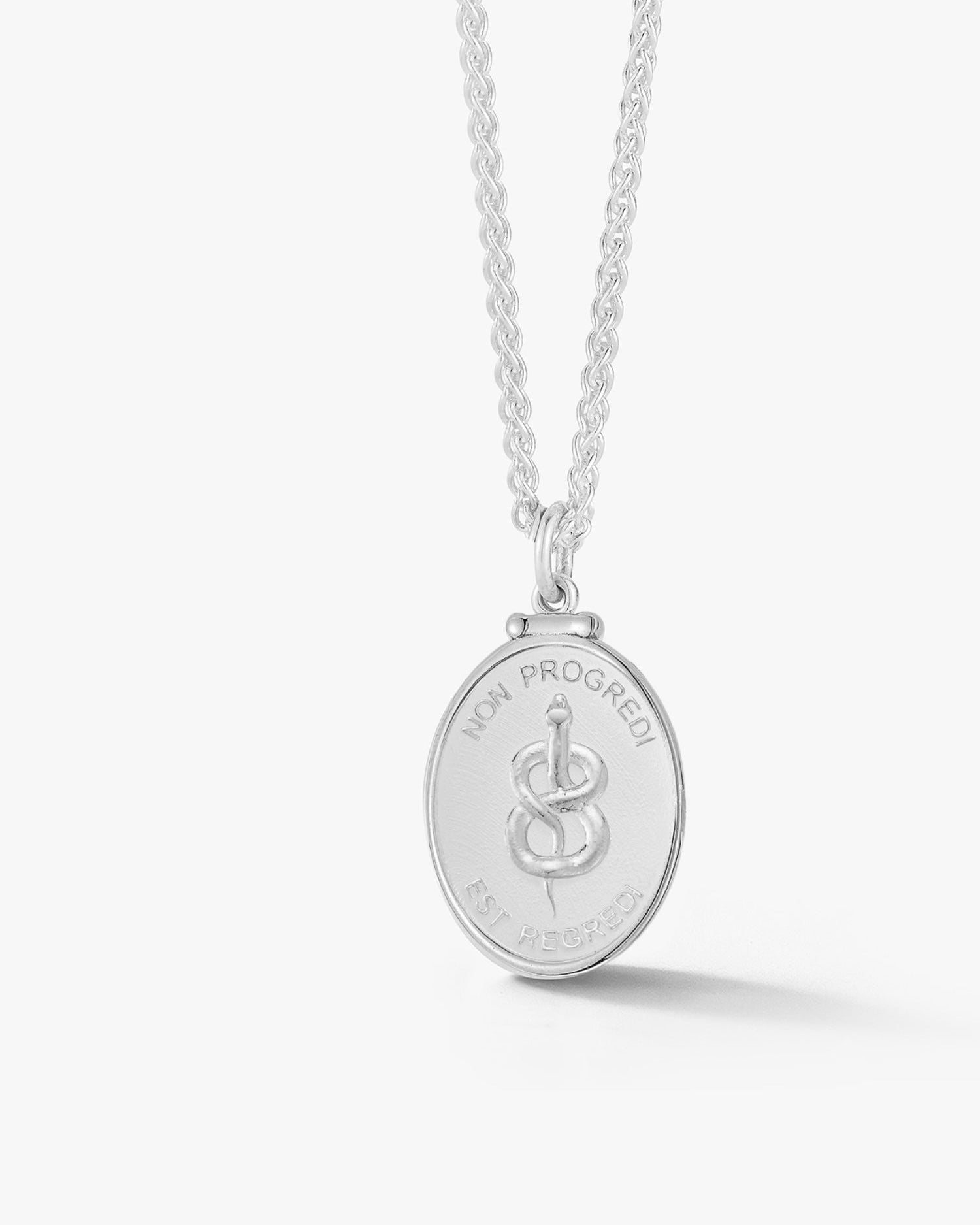Silver Snake Medallion - Billy