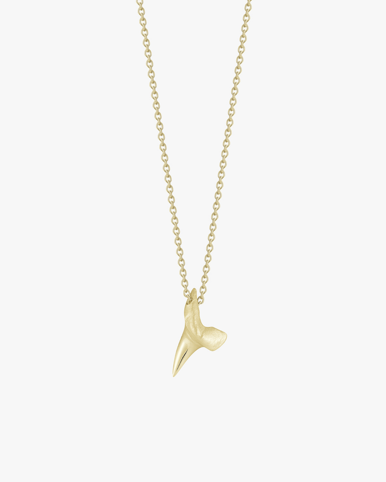Small Gold Shark Tooth - Billy