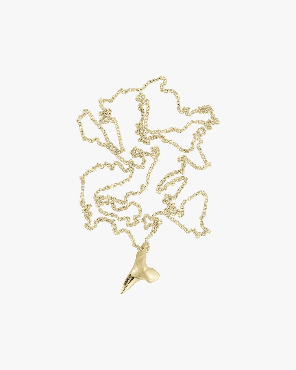 Small Gold Shark Tooth - Billy