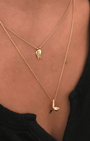 Small Gold Shark Tooth - Billy