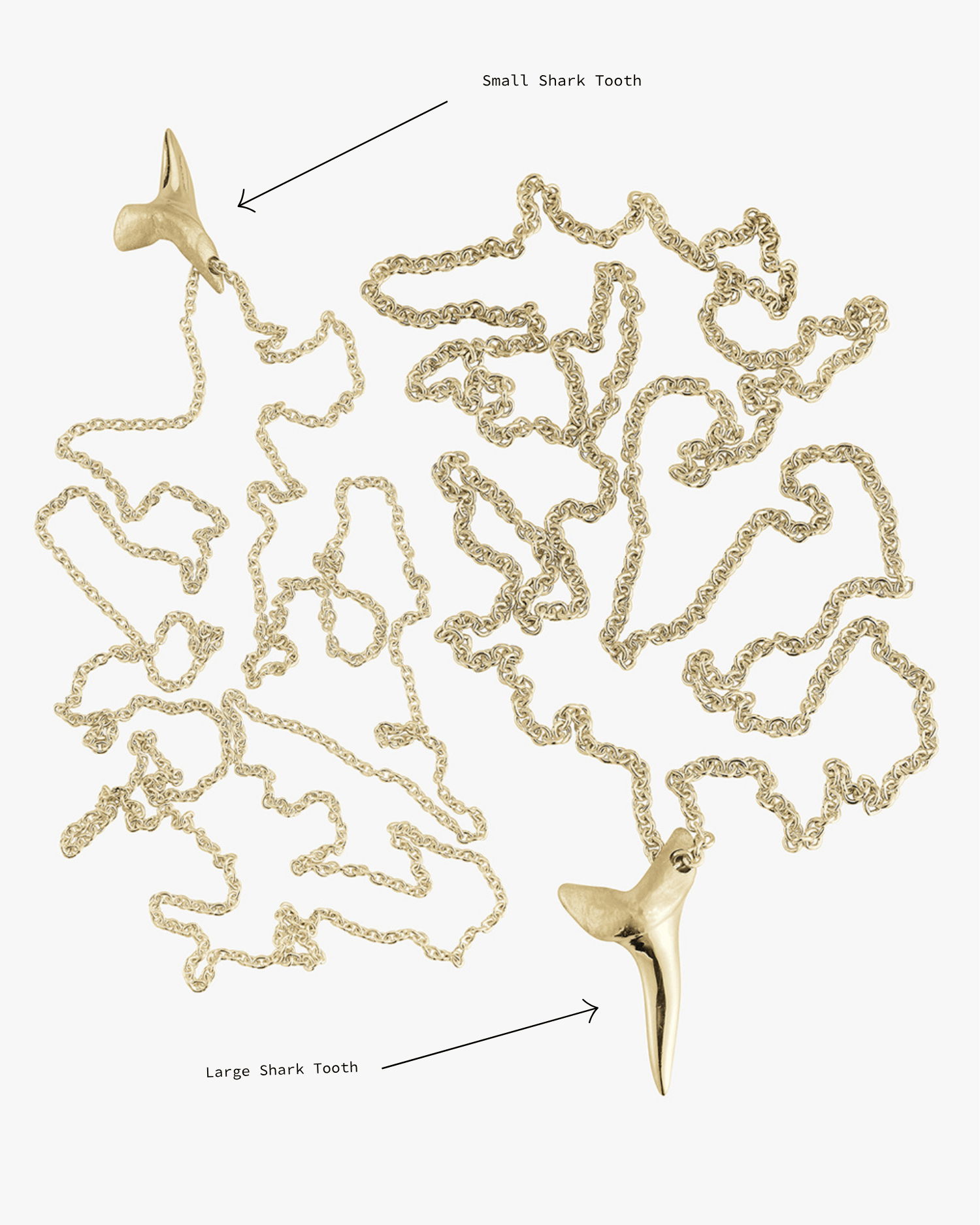 Small Gold Shark Tooth - Billy