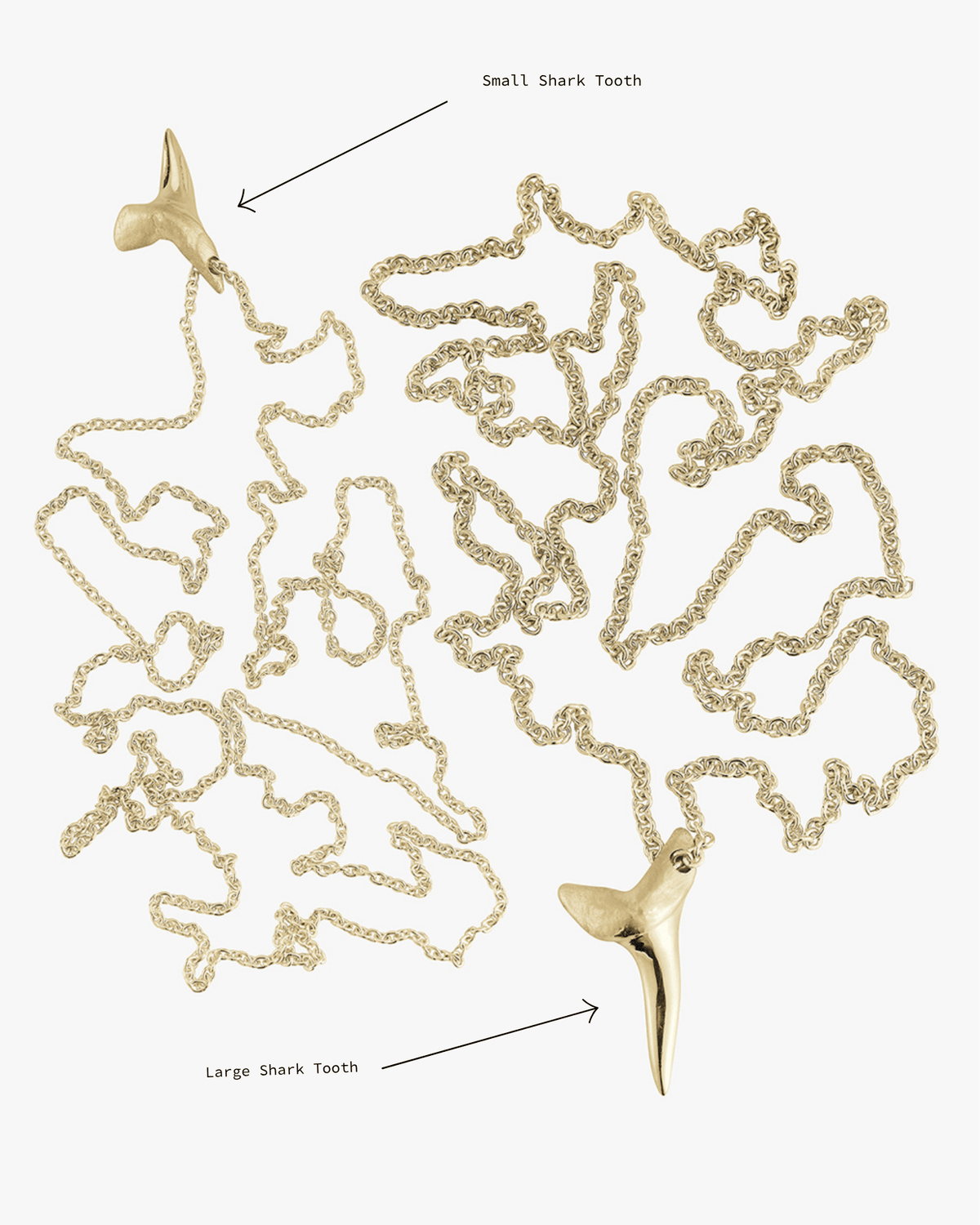 Small Gold Shark Tooth - Billy