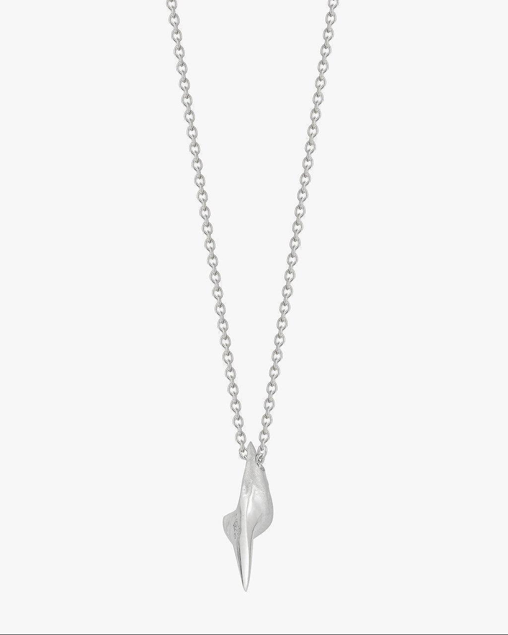 Small Shark Tooth - Billy