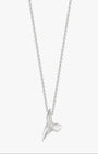 Small Shark Tooth - Billy
